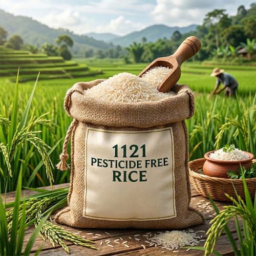 1121 Pesticide Free Rice