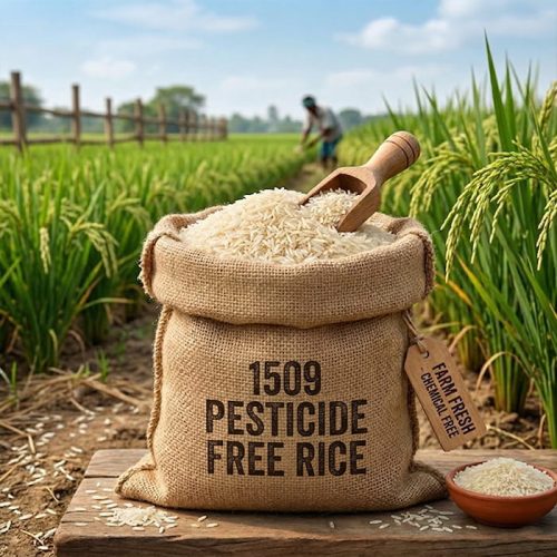 1509 Pesticide Free Rice